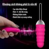 Trứng rung cao cấp điều khiển từ xa TR24