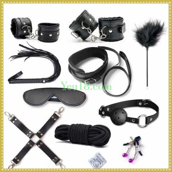 Các bộ phận của một bộ BDSM phổ biến