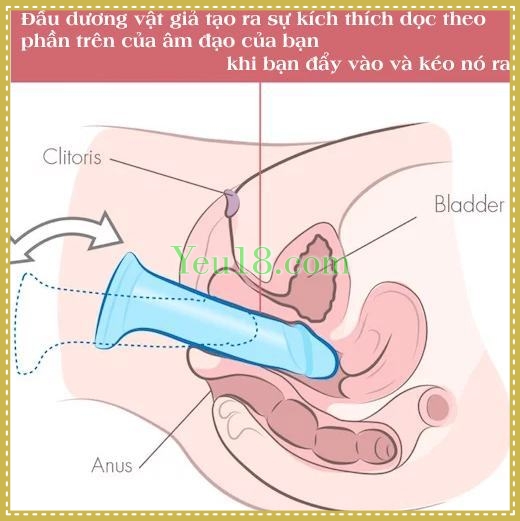 Sử dụng dương vật giả để kích thích điểm G