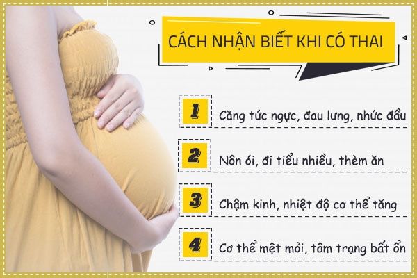 8 cách nhận biết có thai và kiến ​​thức cơ bản khi mang thai