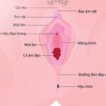 Mất trinh là gì ?