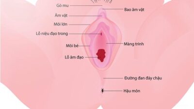 Mất trinh khi tự sướng: cần biết những điều gì? 3 Mất trinh là gì ?